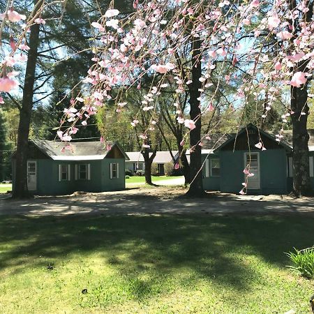 Pine Valley Cabins Thornton Екстериор снимка