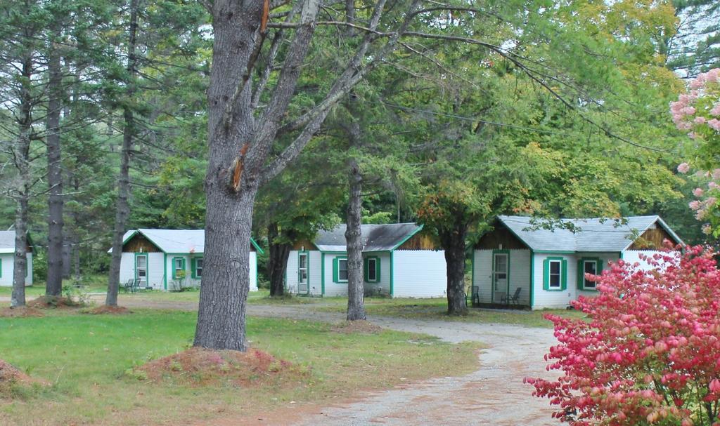 Pine Valley Cabins Thornton Стая снимка