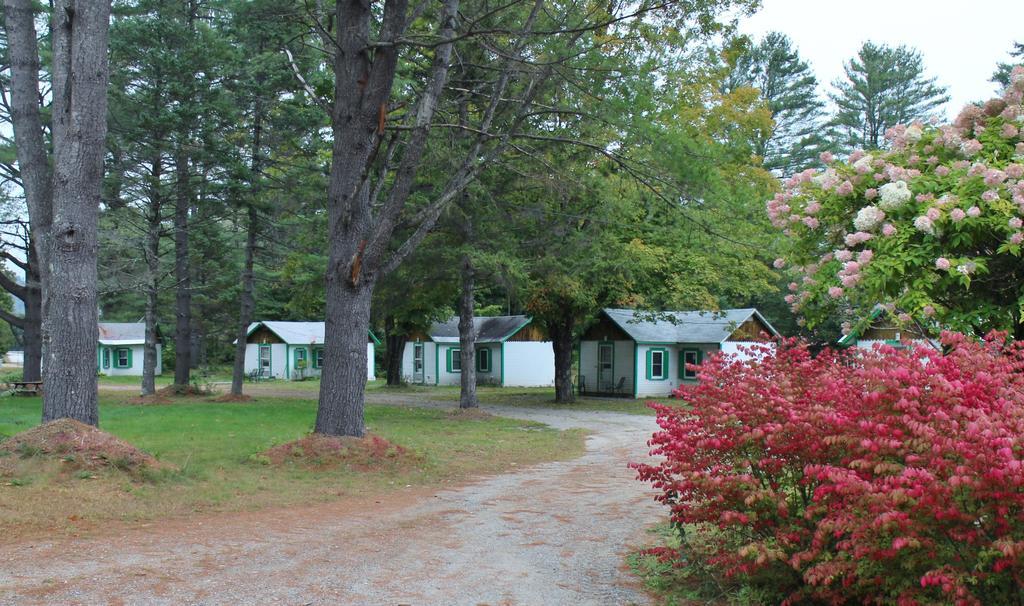 Pine Valley Cabins Thornton Екстериор снимка