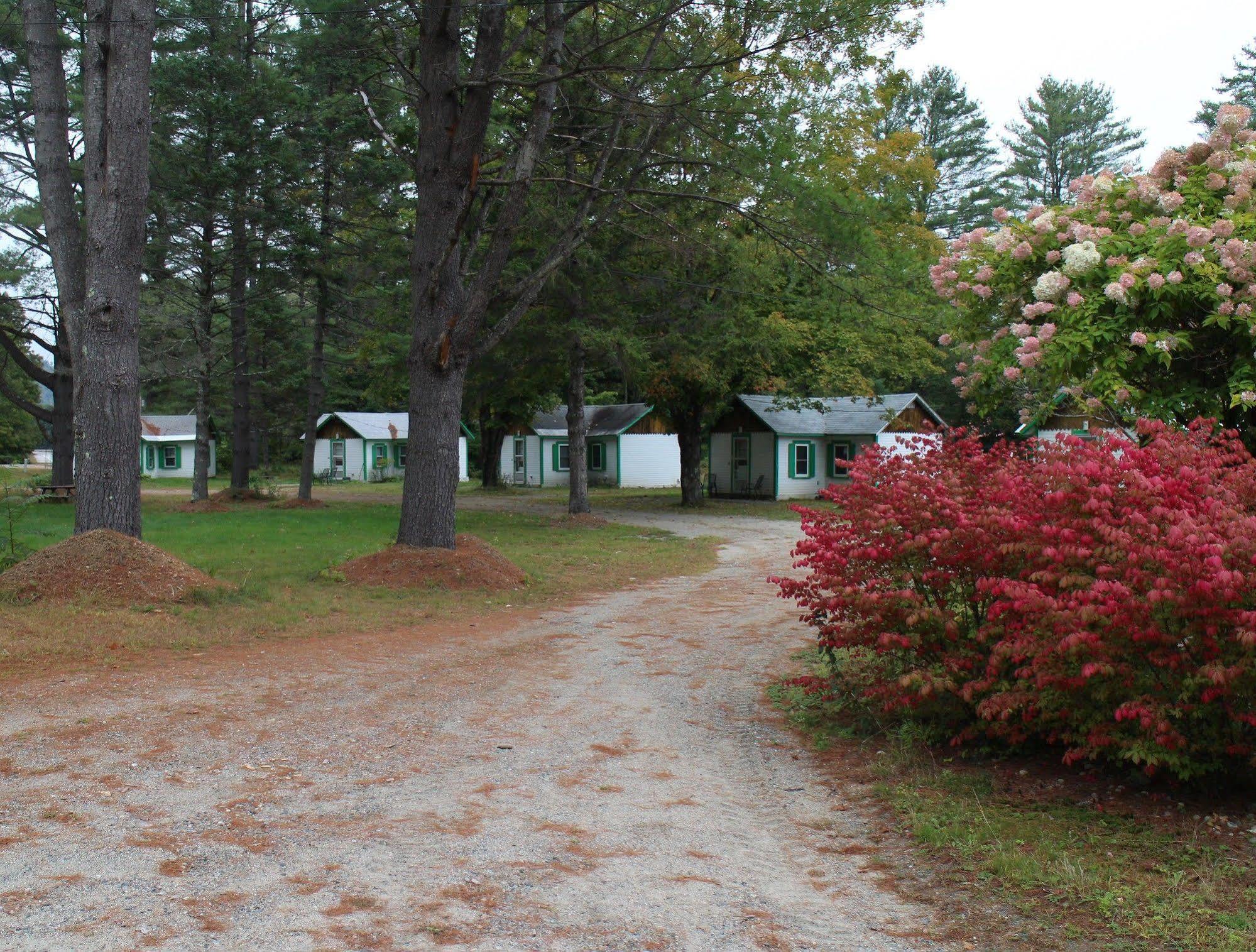 Pine Valley Cabins Thornton Екстериор снимка